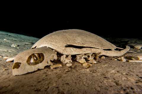 Exploring the Turtle Tomb of Sipadan, Borneo