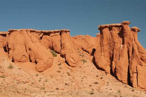 Bayanzag: The Amazing Cradle of Dinosaurs
