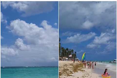 Dominican Republic Sargassum Seaweed In 2024: What To Know