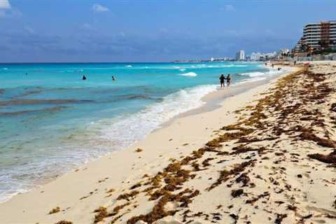 Cancun Resorts Brace For Massive Sargassum Seaweed Influx