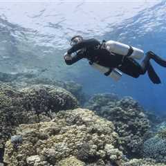 How Much Energy Does Your Body Burn When Tec Diving?