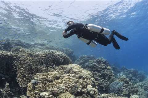 How Much Energy Does Your Body Burn When Tec Diving?