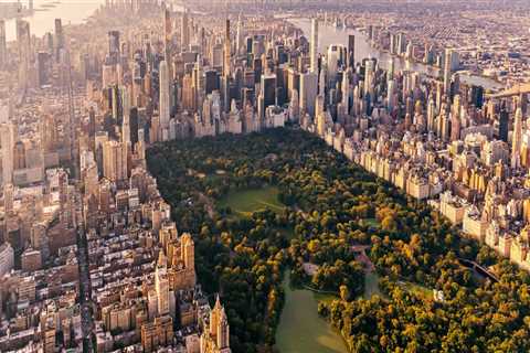 The Ultimate Guide to Staying Updated as a Tour Guide in New York City