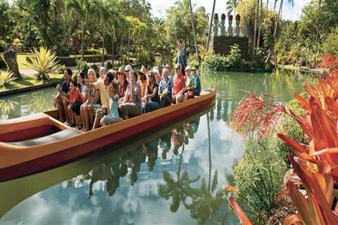 Discover the Best Family Activities in Honolulu