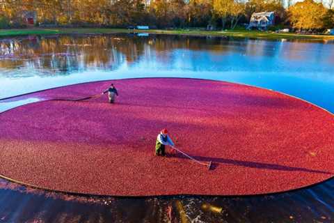 7 Incredible Hidden Gems In Massachusetts To Visit In 2024