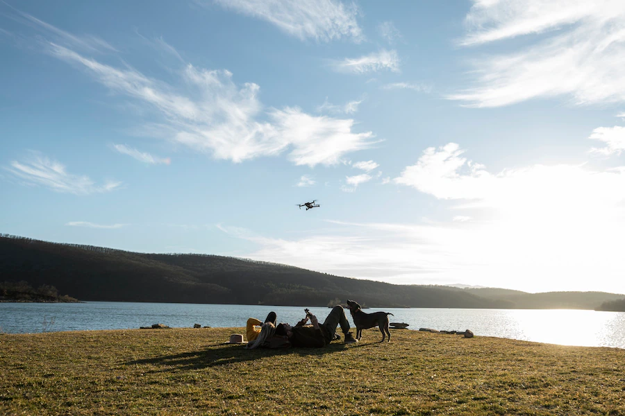 Mongolian summer : 10 interesting facts