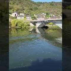 EUROPE RIVER CRUISES: What''s the best part of a river cruise?