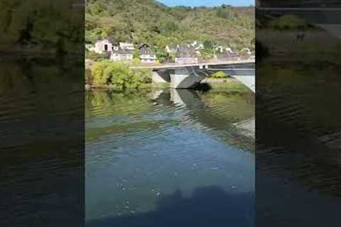 EUROPE RIVER CRUISES: What''s the best part of a river cruise?