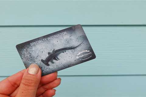 Divemasters – You Can Teach Too! Level Up Your Ocean Advocacy in 2024