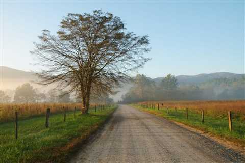 Guide to Cades Cove: The Most Popular Place to Visit in Great Smoky Mountains National Park