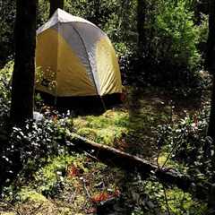 The Ultimate Guide to Overnight Camping for Hikers in Clark County, Washington