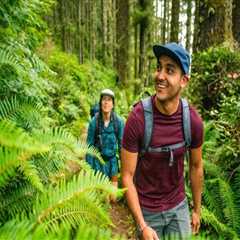 Uncovering the Natural Wonders of Clark County, Washington: A Comprehensive Guide for Hikers