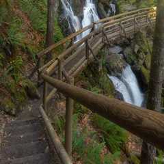 The Ultimate Guide to Trail Running in Clark County, Washington