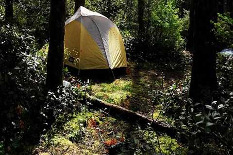 The Ultimate Guide to Overnight Camping for Hikers in Clark County, Washington