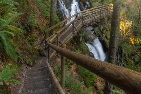 The Ultimate Guide to Trail Running in Clark County, Washington