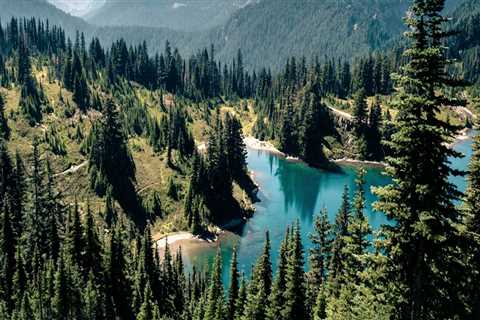 Discovering the Natural Wonders of Western Oregon: National Parks and Forests