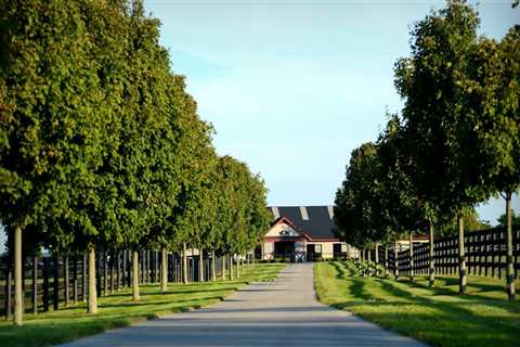 Discovering the Hidden Gems of Nicholasville, Kentucky