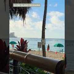 Hawaii Day 4  Beachfront Dining, Bar Hopping &amp; a Hidden Christmas Bar