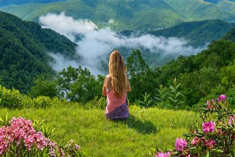 Top Tourist Spots in Central North Carolina: A Guide to Must-Visit Cities
