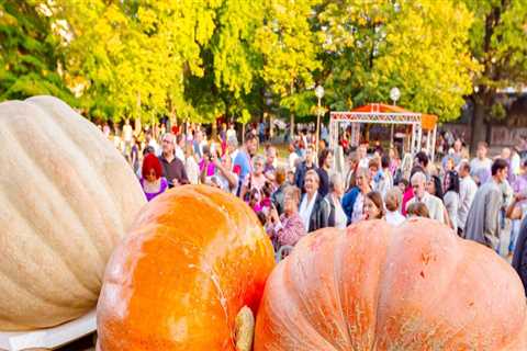 Exploring the Vibrant Events and Festivals in Central North Carolina: A Guide for Tourists