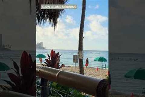 Hawaii Day 4  Beachfront Dining, Bar Hopping &amp; a Hidden Christmas Bar